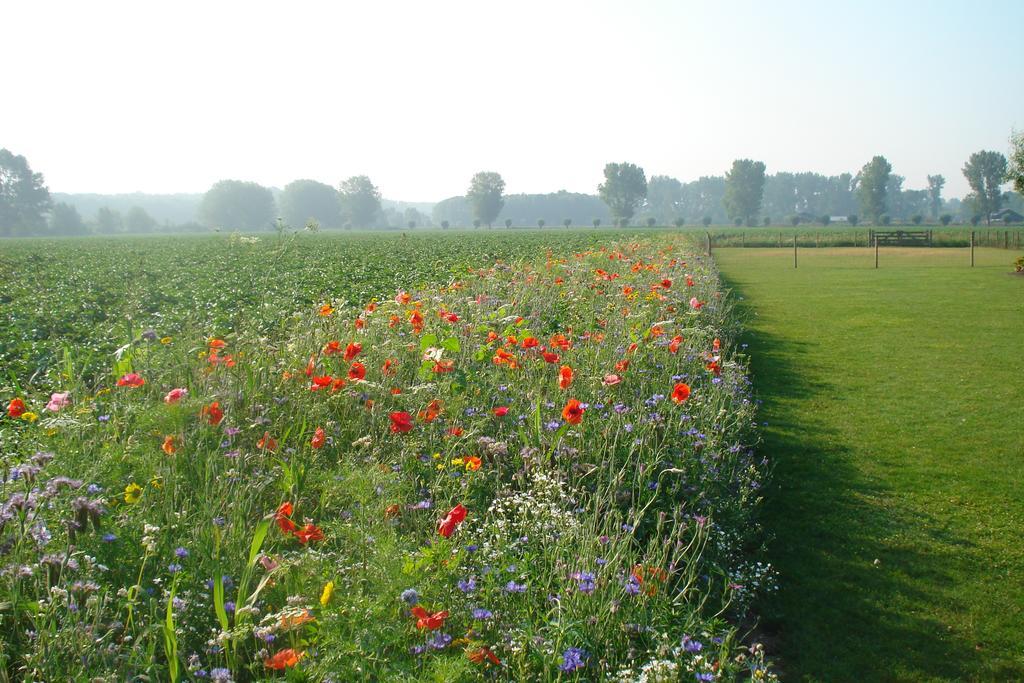 Lodgerie Het Groene Geheim Almere Luaran gambar