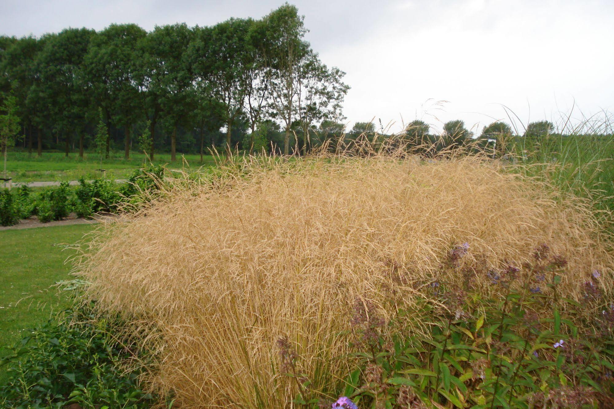 Lodgerie Het Groene Geheim Almere Luaran gambar