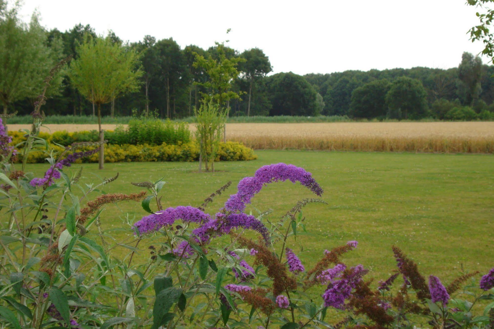 Lodgerie Het Groene Geheim Almere Luaran gambar