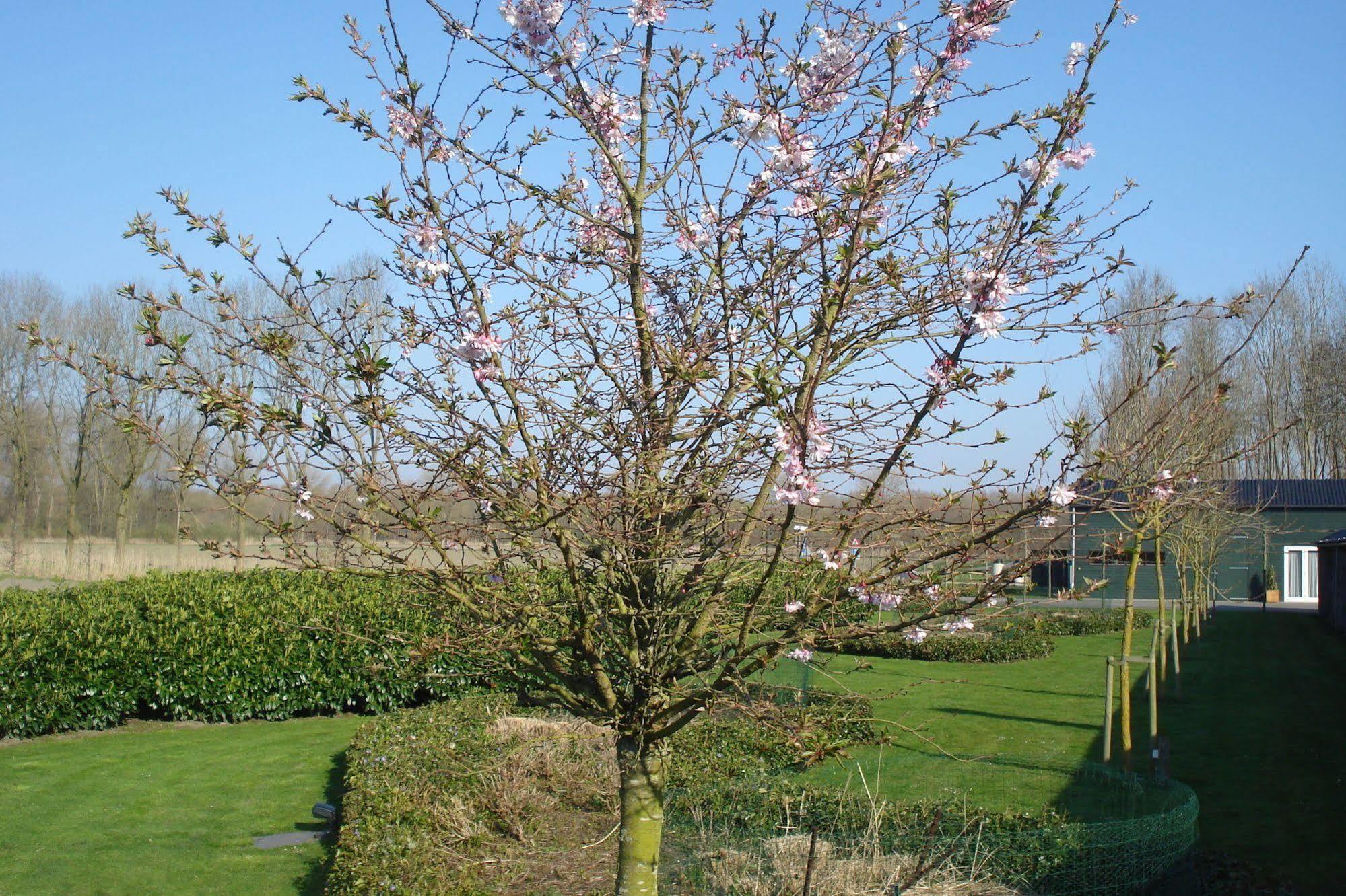 Lodgerie Het Groene Geheim Almere Luaran gambar